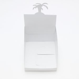 紙製品　発送用DP箱